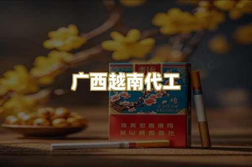 广西越南代工